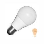 Lampadina 15W led